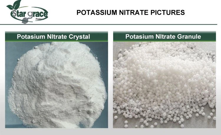 1 patassium nitrate crystal granule