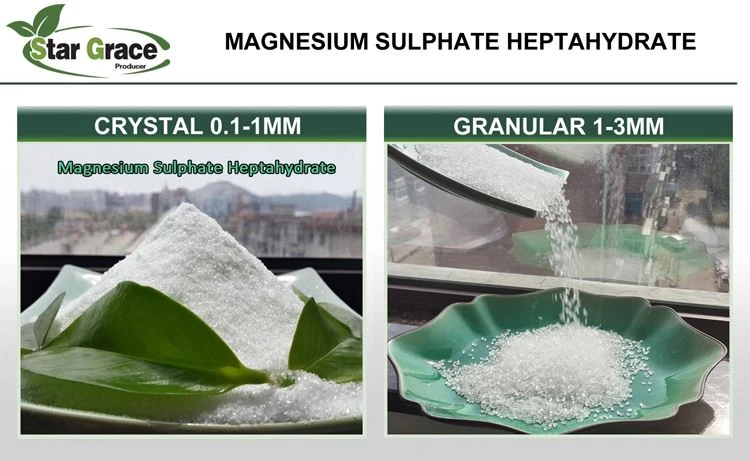 2 Magnesium Sulfate Heptahydrate Fertilizer crystal 2 Magnesium Sulfate Heptahydrate Fertilizer crystal