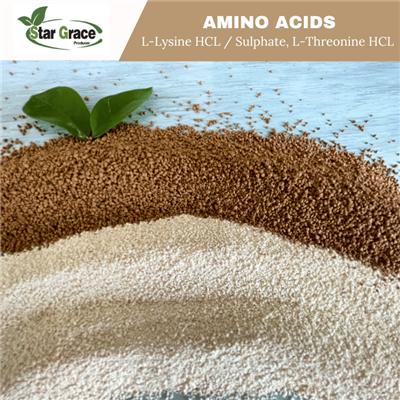 L-Lysine Sulphate with Golden Corn Brand