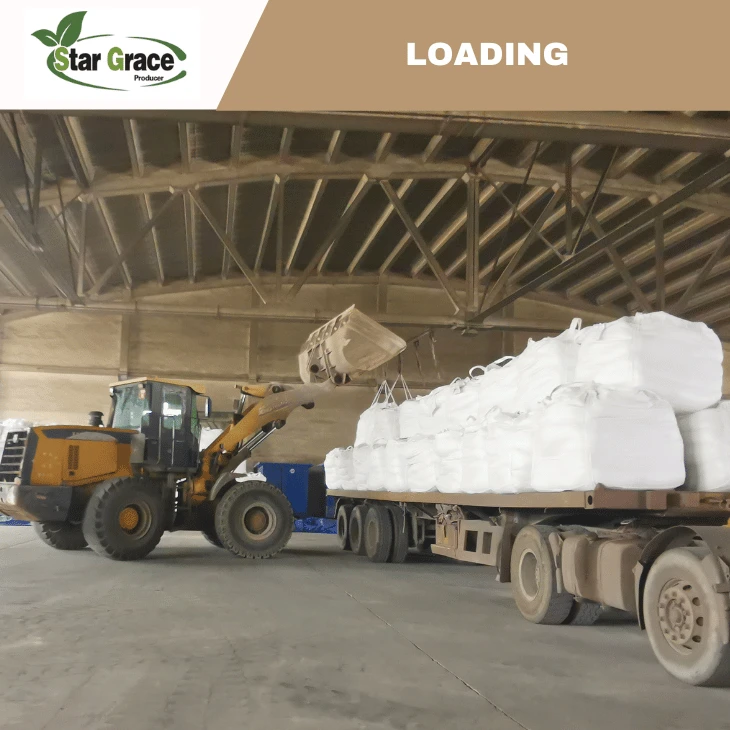 High Quality L-Lysine Monohydrochloride