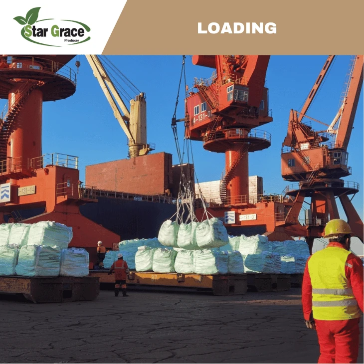 L-Lysine Sulphate Feed Additive